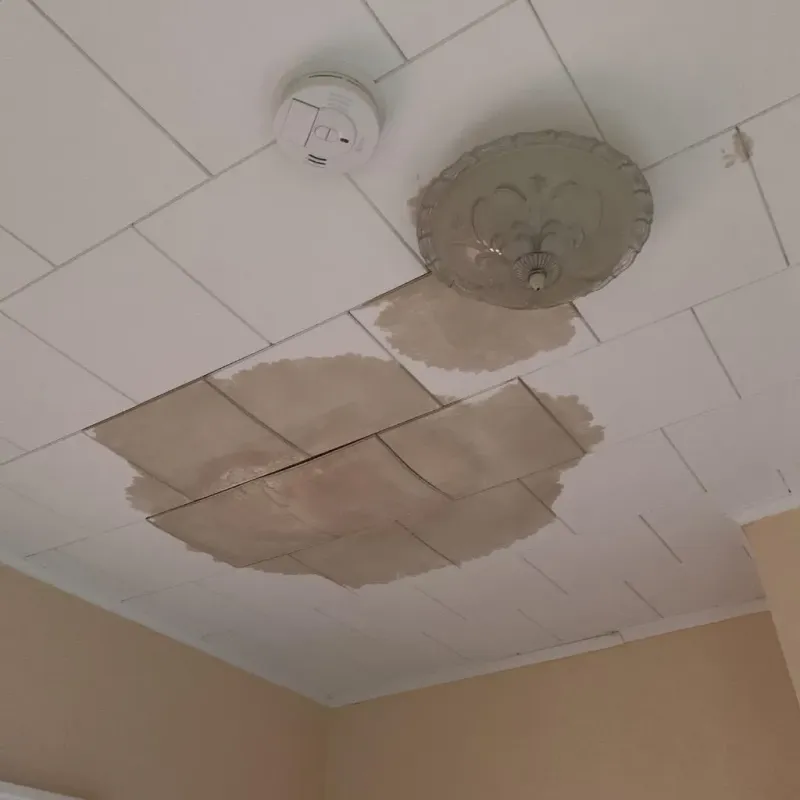 Ceiling Water Damage Repair in Steep Falls, ME