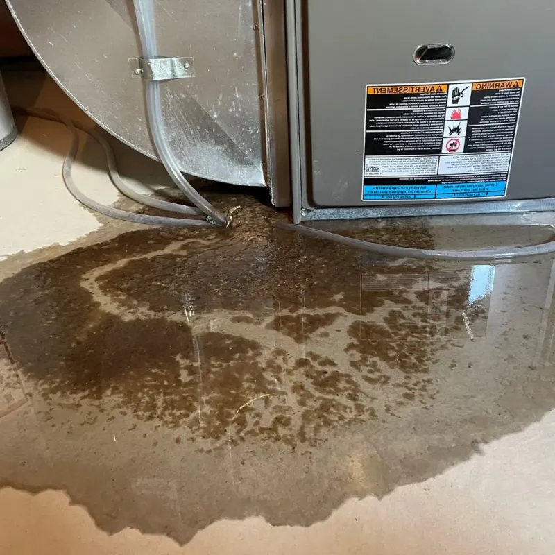 Pipe Burst and Leak Restoration in Steep Falls, ME
