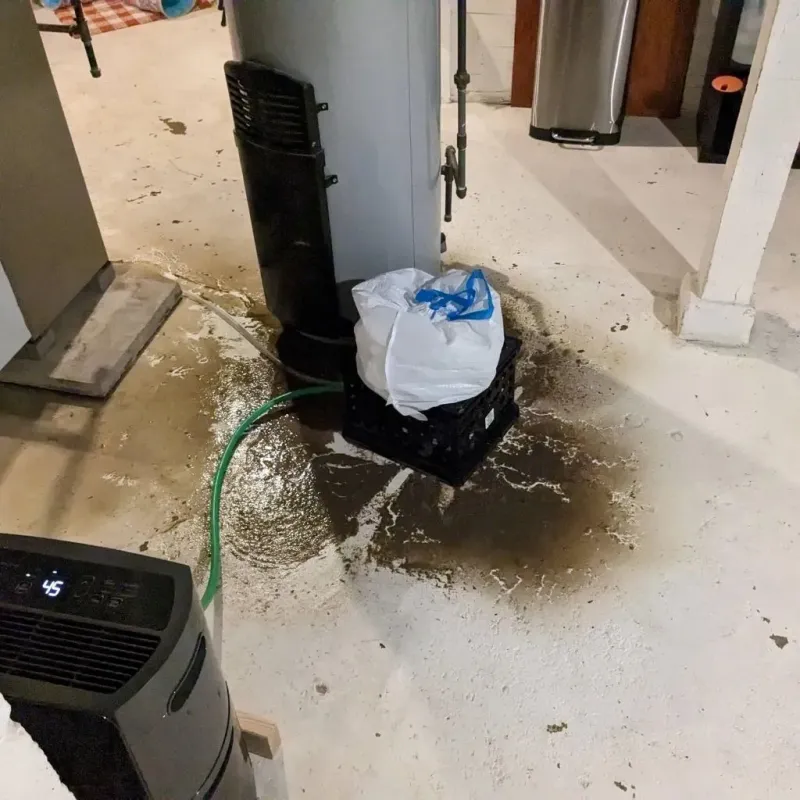 Sewage Backup Cleanup Service in Steep Falls, ME